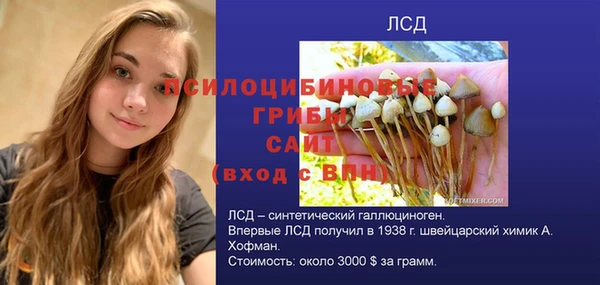ALPHA PVP Краснослободск