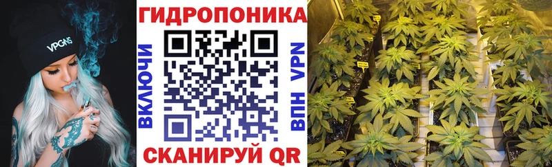 Купить  Струнино  Конопля AK-47 